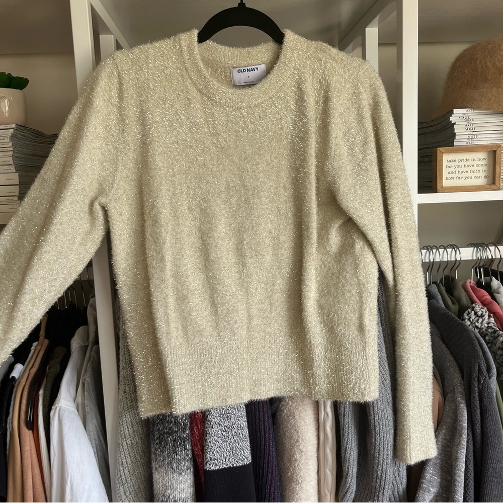 Shimmery Sweater